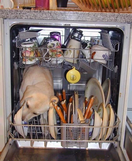 how.does.a.bosch.dishwasher.work.the.secret.is.out.jpg